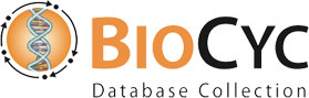 BioCyc logo